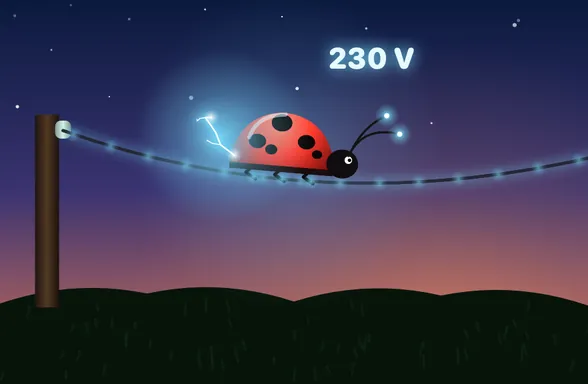 Volt Beetle, a Funkl of the Lightning family